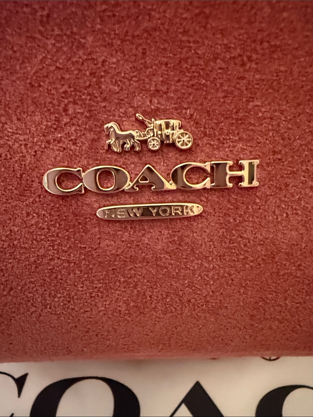 ๐คCOACH NWT Clayโ Suede Hadley Mini Turn-lock Crossbody with Gold Hardware - Picture 7 of 11